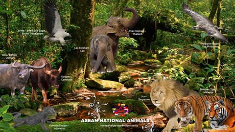 National animals of different countries