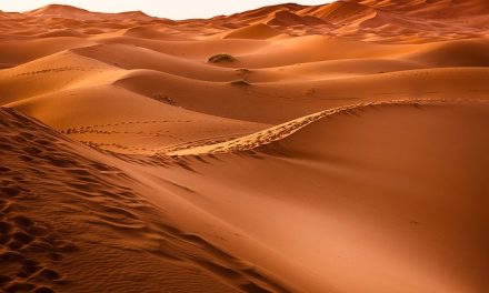 Deserts of the world : their location, size and topography